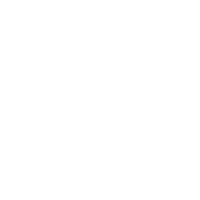 FlipMaster Logo square white